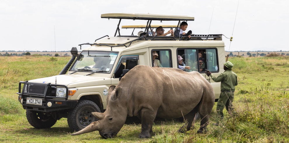 Ol Pejeta &amp; Samburu Safari – 5 Days